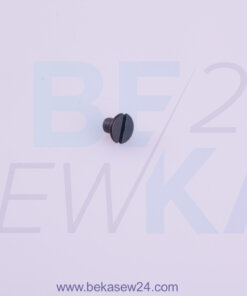 WZSC11019 Original